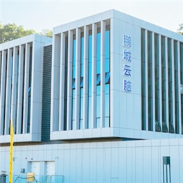 "鵬城雲腦Ⅱ擴展型"重大科技基礎設施項目